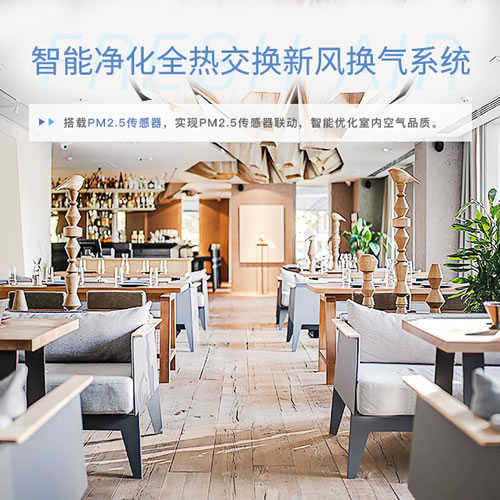 大金智能净化全热交换新风系统
